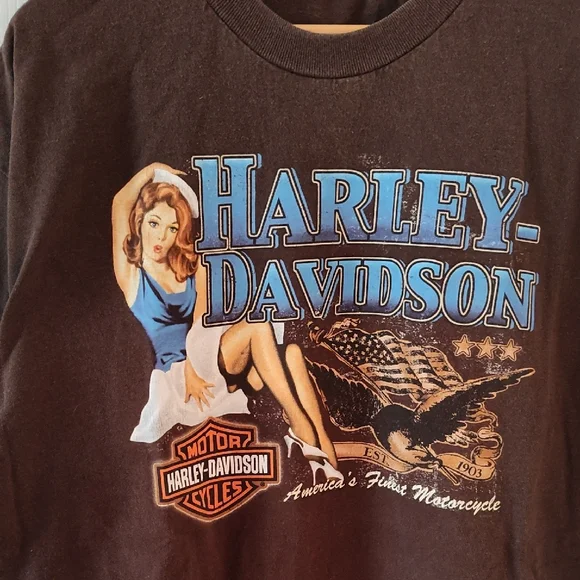 Harley-Davidson Dark Brown Tee with Vintage Graphic - Picture 4 of 4